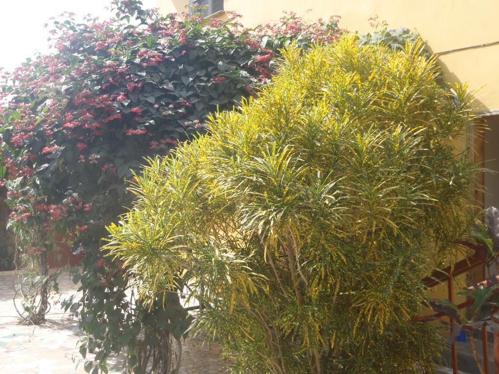 Sanchaba Yellow Apartments Kololi Εξωτερικό φωτογραφία