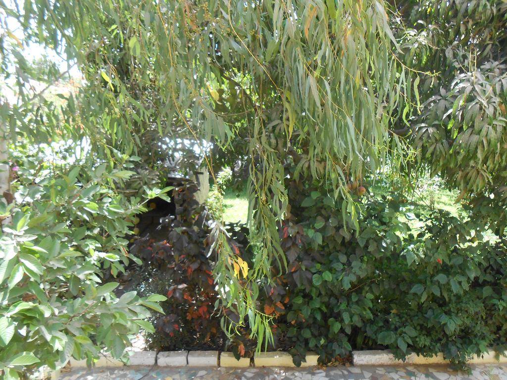 Sanchaba Yellow Apartments Kololi Εξωτερικό φωτογραφία